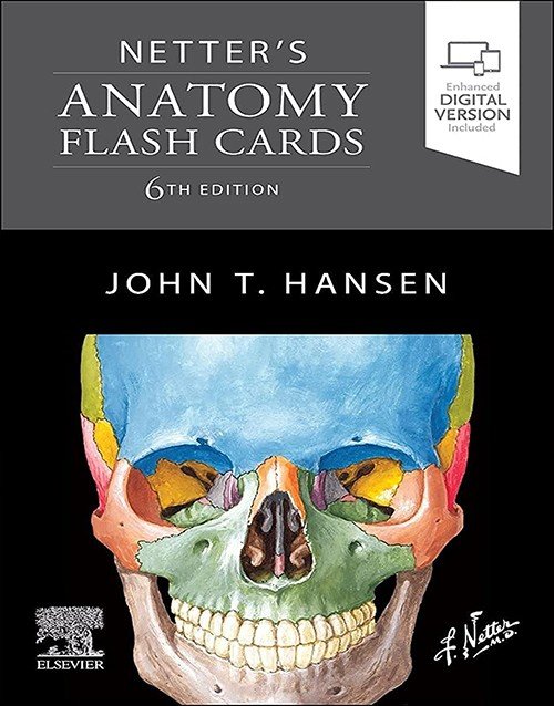 Netter's Anatomy Flash Cards 6th Ed
