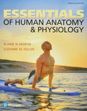 Essentials of Human Anatomy and Physiology 12th Ed
