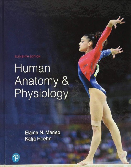 Human Anatomy & Physiology 11th Ed (Marieb/Hoehn)