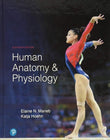 Human Anatomy & Physiology 11th Ed (Marieb/Hoehn)