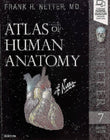Atlas of Human Anatomy (Netter) 7th Ed